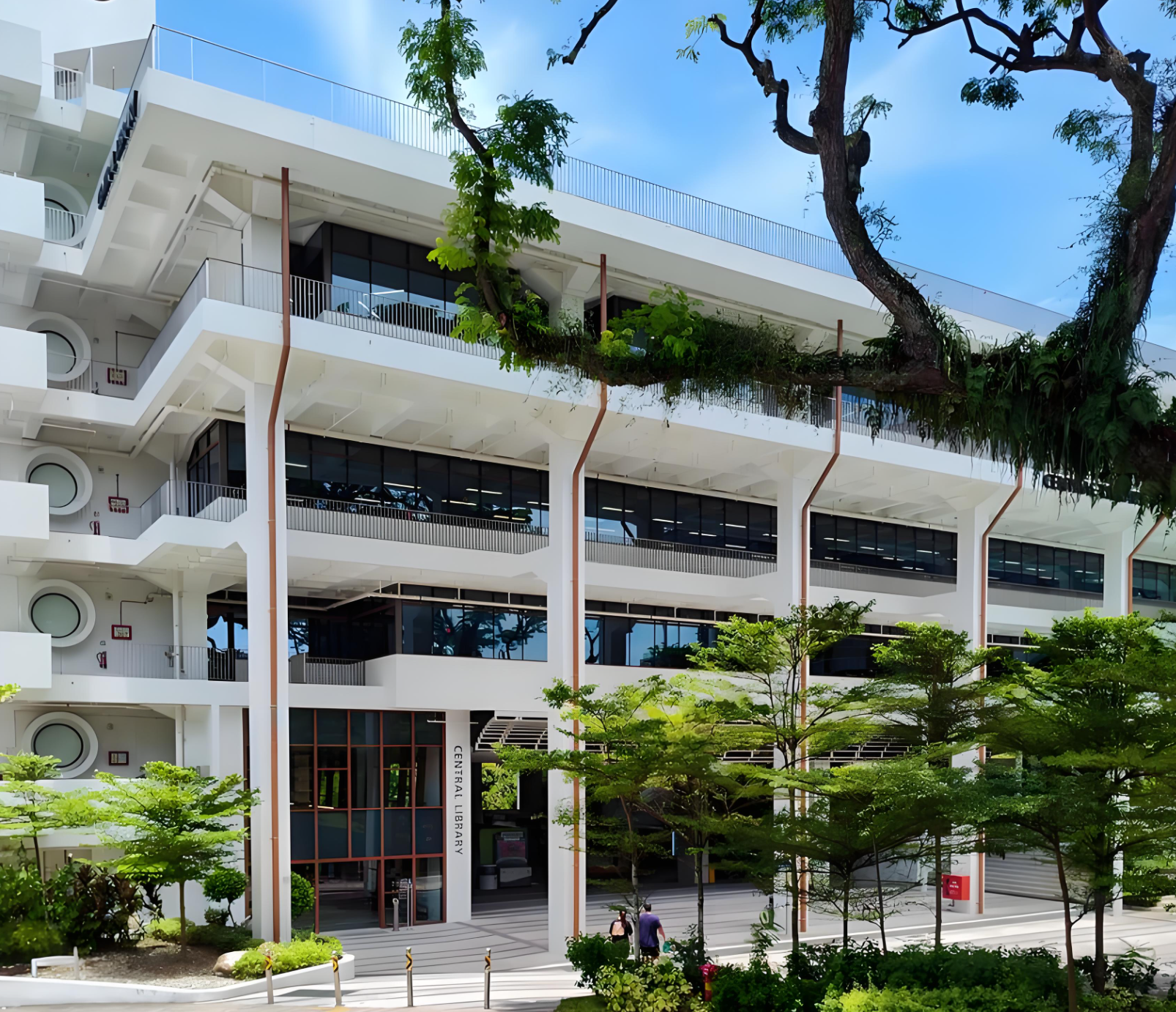新加坡本科留学